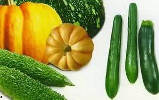 吃瓜老妖婆,网络红人的崛起与争议