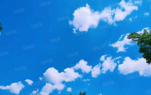 蓝天白云吃瓜,畅享夏日吃瓜时光