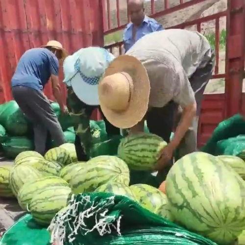 湖南衡阳吃瓜群众,揭秘本地新鲜事