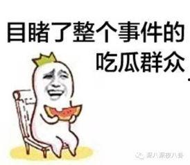 反派吃瓜群众,揭秘娱乐圈幕后黑幕