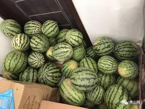 今日吃瓜每日吃瓜视频,揭秘娱乐圈最新热点事件